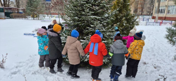 День хвойных деревьев🌲🌲🌲 День хвойных деревьев🌲🌲🌲.