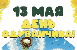 13 мая отмечается Всемирный день одуванчиков! 13 мая отмечается Всемирный день одуванчиков!.